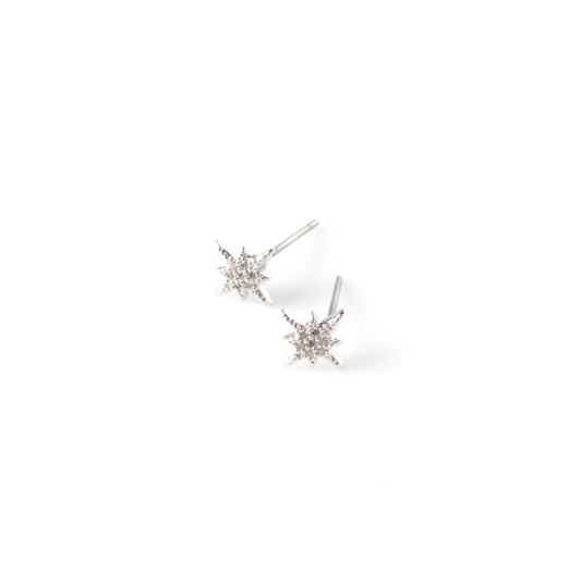 North star mini oorbellen