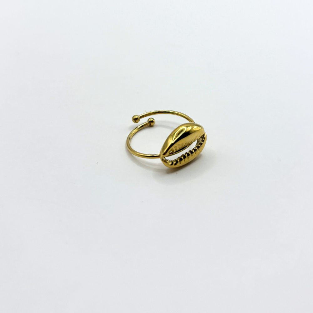 Shell ring