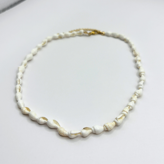 Schelpen ketting