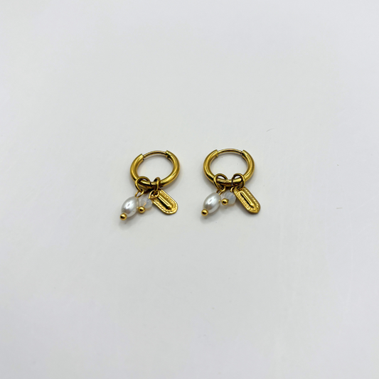 Trendy oorbellen