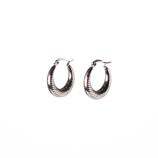 Shiny hoops oorbellen