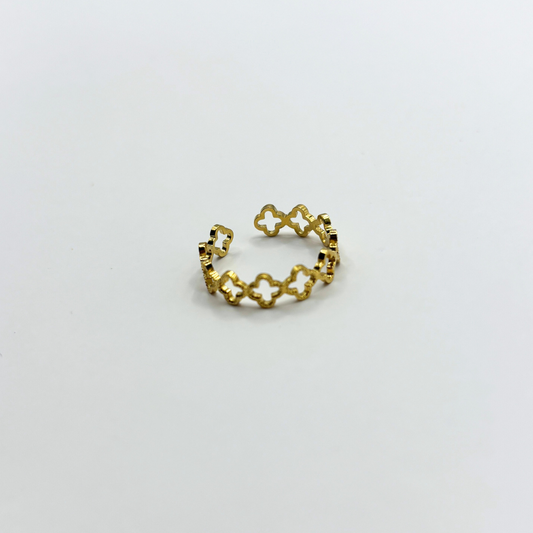 Minimalistic ring