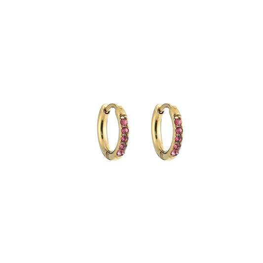 Subtiele oorringen — Goud/roze